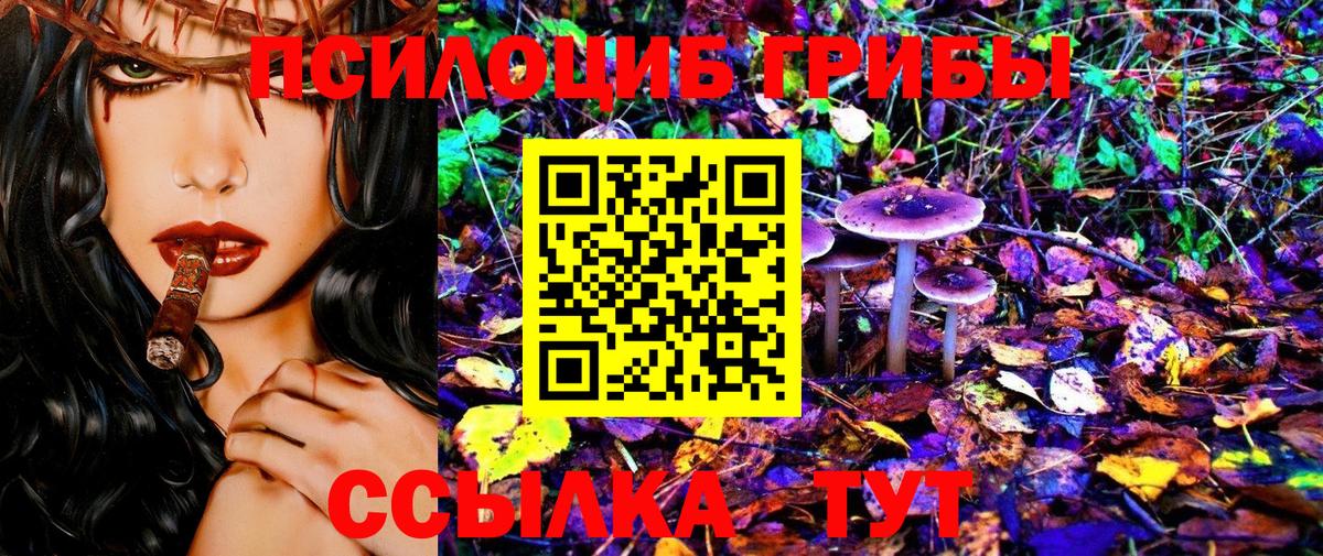 Псилоцибиновые грибы Cubensis  Вход с VPN  Кимры 